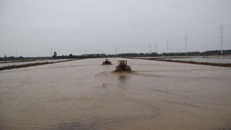 Tổng diện tích có nước tăng hơn 14% so với kết thúc đợt 1