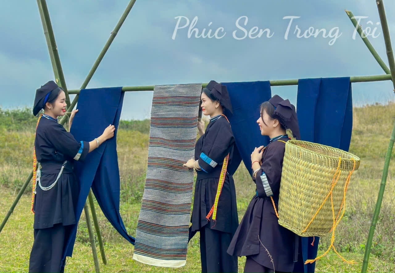 Đồi chè Lũng Sâu - Điểm checkin không thể bỏ lỡ khi đến Phúc Sen (Cao Bằng)