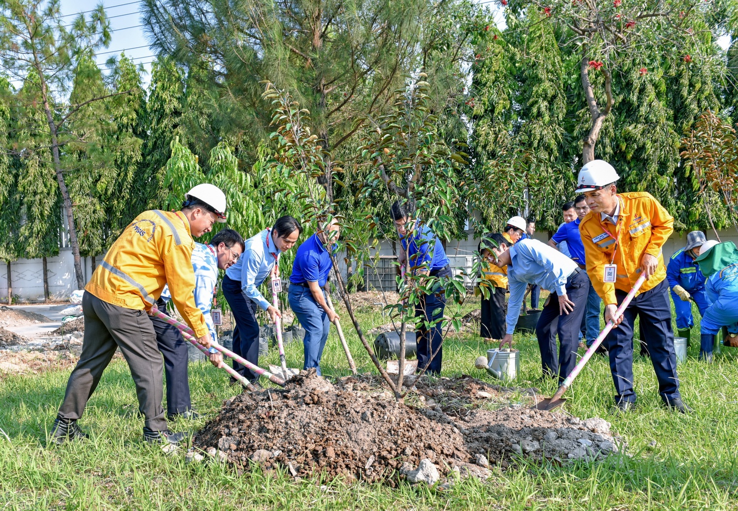 Hình 2. Lãnh đạo, CBCNV PV GAS SE ươm màu xanh tại GDC Phú Mỹ