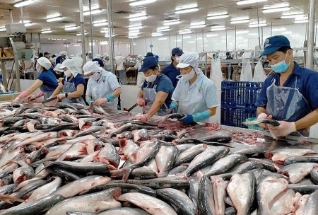 Tin tức kinh tế ngày 21/2: Xuất khẩu thủy sản phục hồi chậm