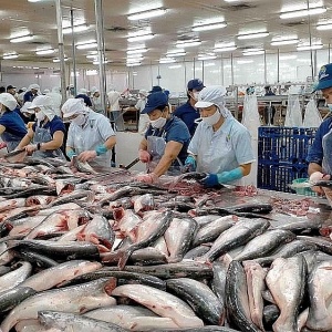 Tin tức kinh tế ngày 21/2: Xuất khẩu thủy sản phục hồi chậm