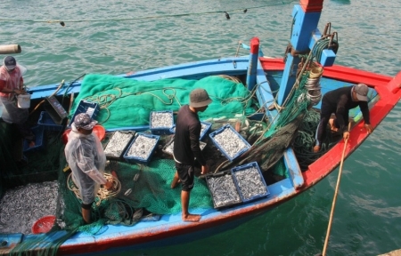 Nghề ra khơi 1 ngày bằng công nhân làm 1 năm