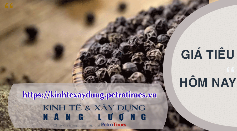 Giá tiêu hôm nay 23/2: Tăng mạnh tiệm cân