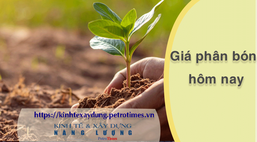 Giá phân bón hôm nay 25/2: Nhu cầu tại miền Bắc gia tăng