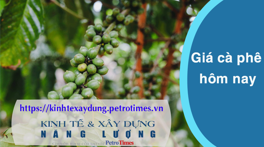 Giá cà phê hôm nay 26/2: Tăng trở lại