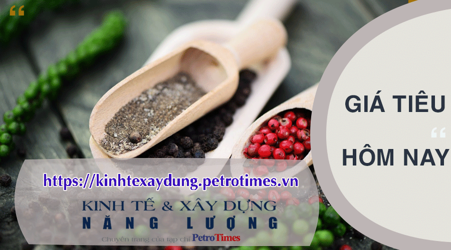 Giá tiêu hôm nay 26/2: Đồng loạt giảm tại các vùng
