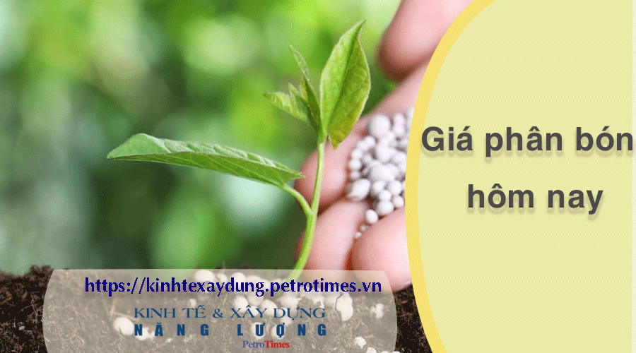 Giá phân bón hôm nay 26/2: