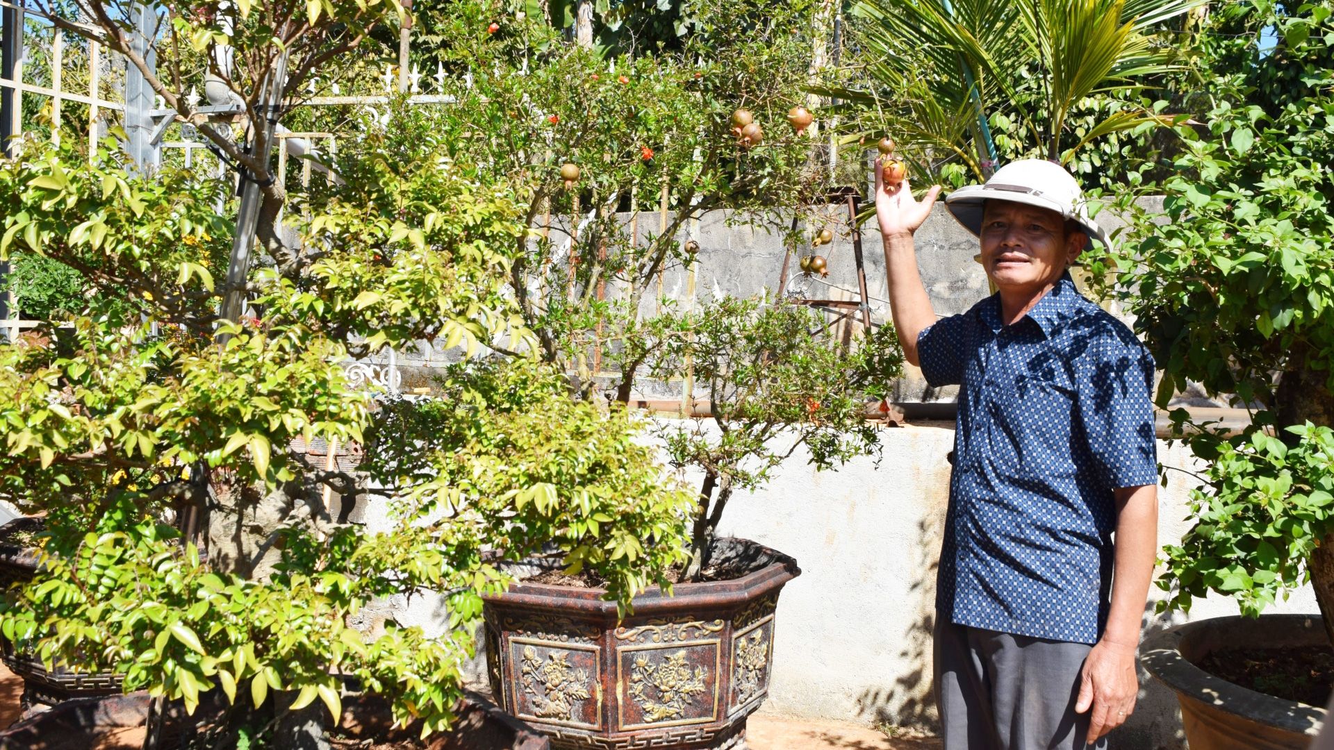 Thưởng thức nho Nhật không hạt ngay tại vườn