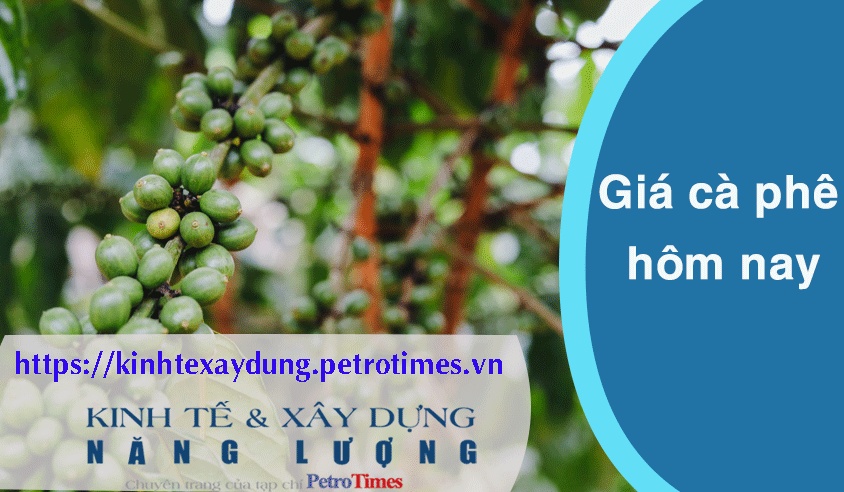 Giá cà phê hôm nay 27/2: Robusta và Arabica cùng giảm