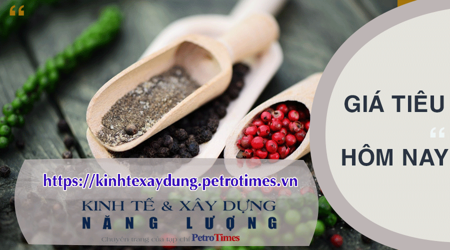 Giá tiêu hôm nay 27/2: Tăng mạnh trở lại