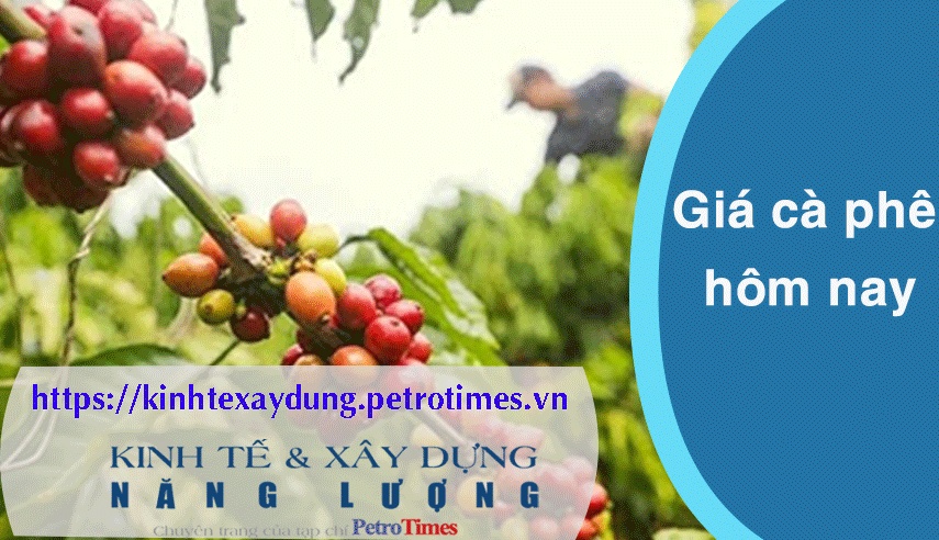 Giá cà phê hôm nay 28/2: Arabica và Robusta đảo chiều tăng