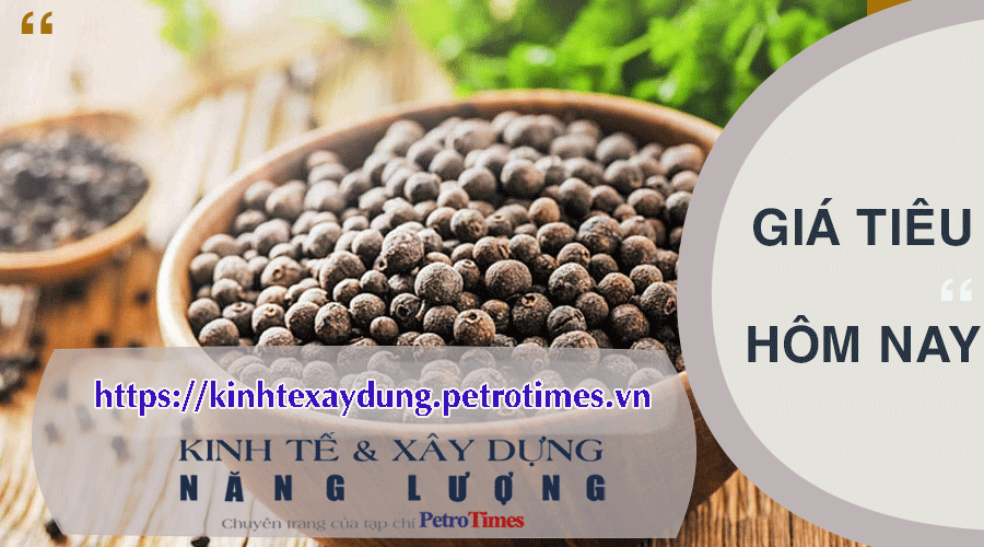 Giá tiêu hôm nay 28/2: Thị trường trong nước đồng loạt tăng