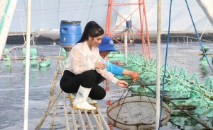 Bến Tre: Nông dân vùng biển ứng dụng công nghệ cao trong sản xuất
