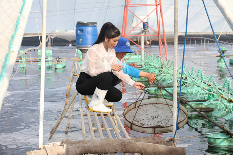 Bến Tre: Nông dân vùng biển ứng dụng công nghệ cao trong sản xuất