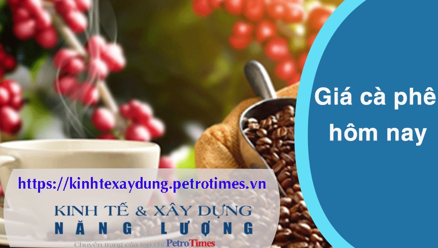 Giá cà phê hôm nay 1/3: Thị trường trong nước chững lại