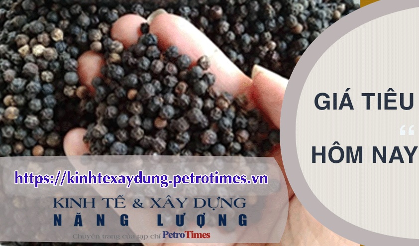 Giá tiêu hôm nay 2/3: Giảm cao nhất 1.500 đồng/kg