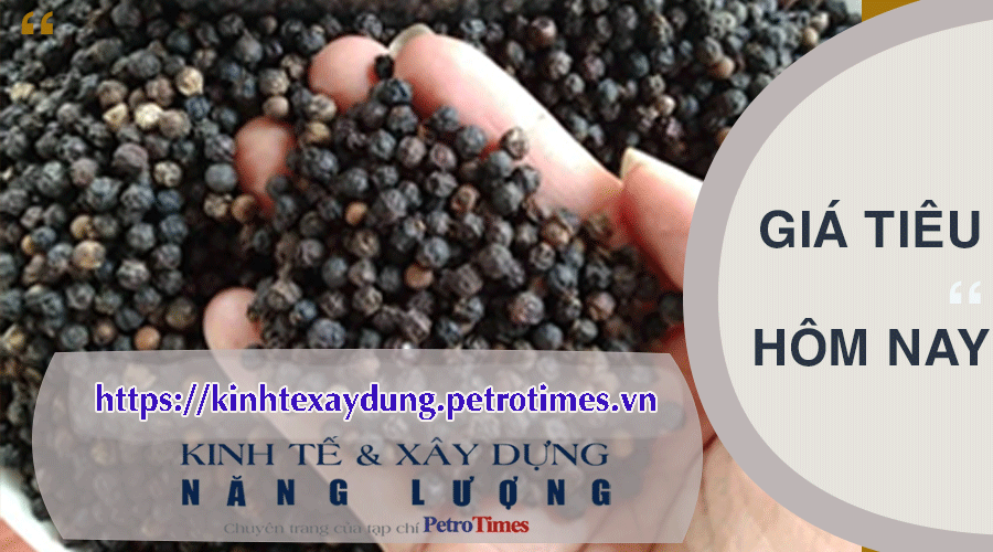 Giá tiêu hôm nay 7/3: Tăng nhẹ tại Bình Phước