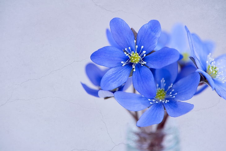 Tử vi ngày 8/3/2024: Tuổi Sửu suôn sẻ mọi điều, tuổi Ngọ “quả ngọt” về tay