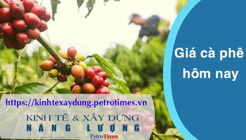 Giá cà phê hôm nay 9/3: Tăng phi mã, vượt mốc 92.000 đồng