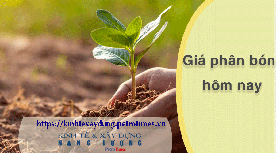 Giá phân bón hôm nay 10/3: Urê Brunei giảm