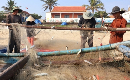 Ngư dân mỏi tay gỡ "chiến lợi phẩm" sau một đêm vươn khơi