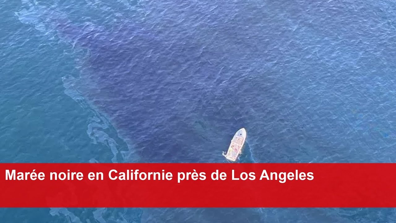 Hoài nghi về sự cố tràn dầu ở California Hoài nghi về sự cố tràn dầu ở California