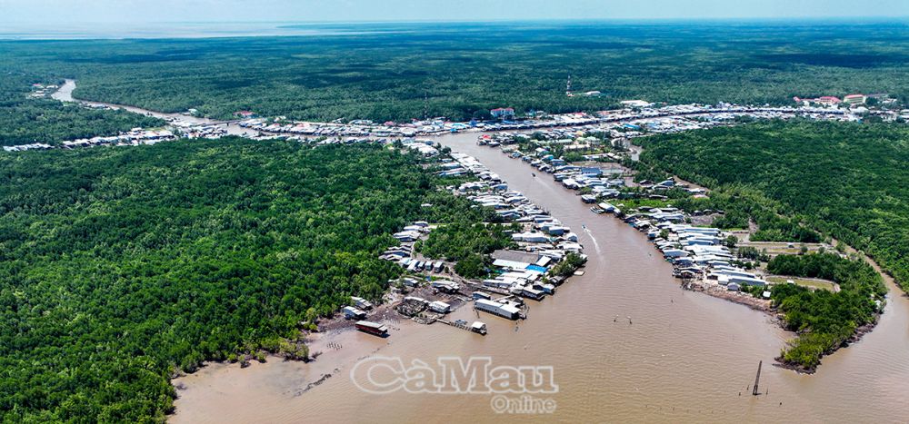Cà Mau: Chủ động phòng, chống sạt lở bờ biển, bờ sông