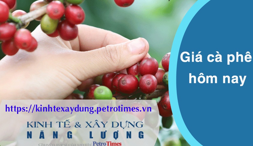 Giá cà phê hôm nay 12/3: Thị trường trong nước tăng