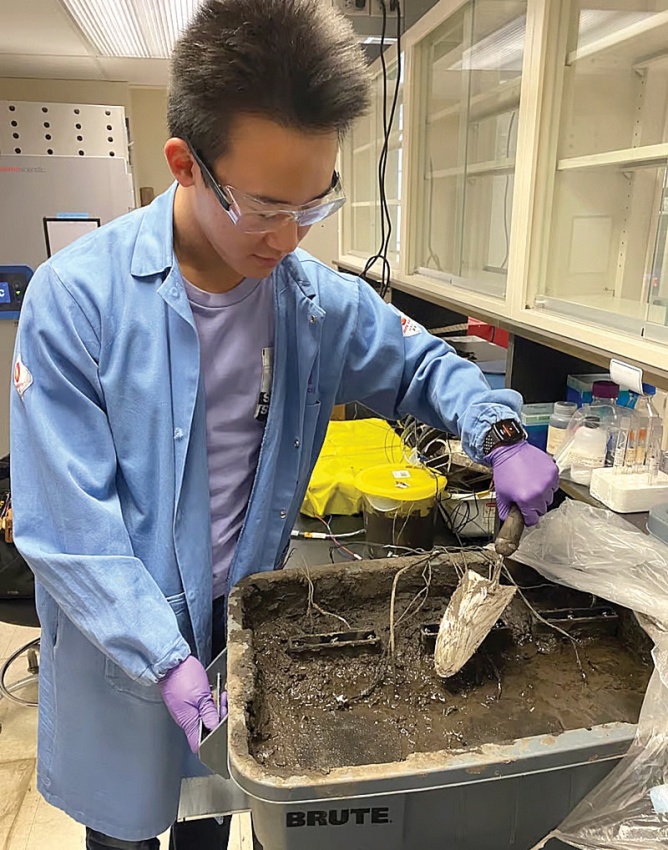 Bước tiến mới của Pin Vi sinh vật Bước tiến mới của pin vi sinh vật