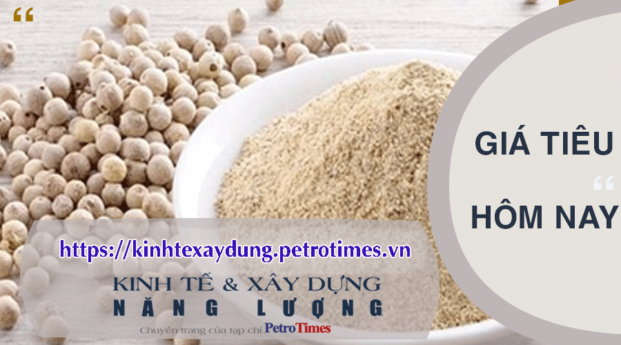 Giá tiêu hôm nay 13/3: Bình Phước giảm 500 đồng/kg