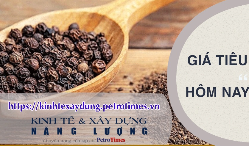 Giá tiêu hôm nay 14/3: Trong nước ổn định