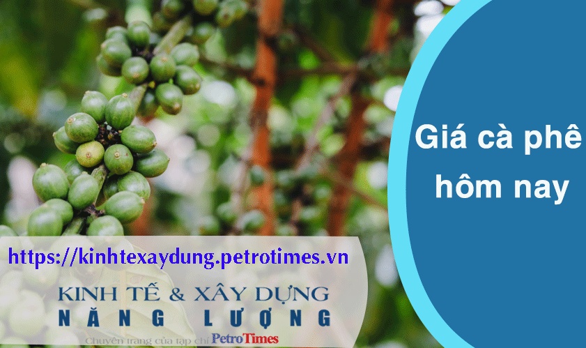 Giá cà phê hôm nay 15/3: Robusta đảo chiều tăng