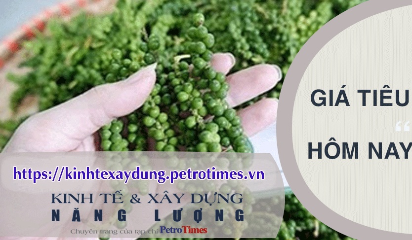 Giá tiêu hôm nay 15/3: Giảm cao nhất 1.000 đồng