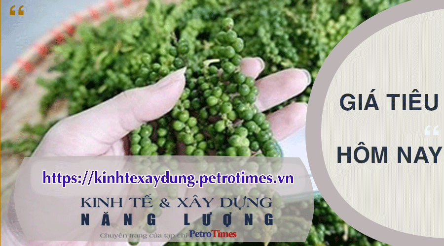 Giá tiêu hôm nay 15/3: Giảm cao nhất 1.000 đồng