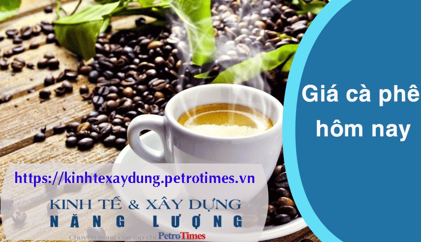 Giá cà phê hôm nay 16/3: Trong nước tăng trở lại