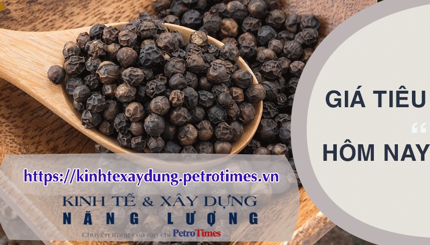 Giá tiêu hôm nay 16/3: Thị trường trong nước chững lại