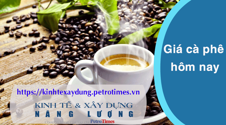 Giá cà phê hôm nay 16/3: Trong nước tăng trở lại