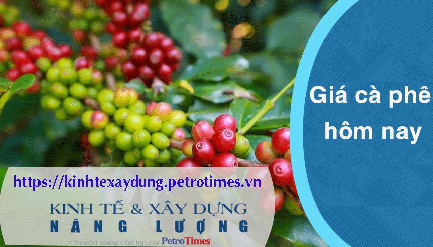 Giá cà phê hôm nay 19/3: Robusta và Arabica xu hướng trái chiều nhau