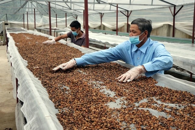 Tin tức kinh tế ngày 19/3: