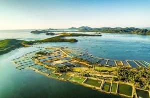 Đầm Cù Mông - Điểm đến hấp dẫn