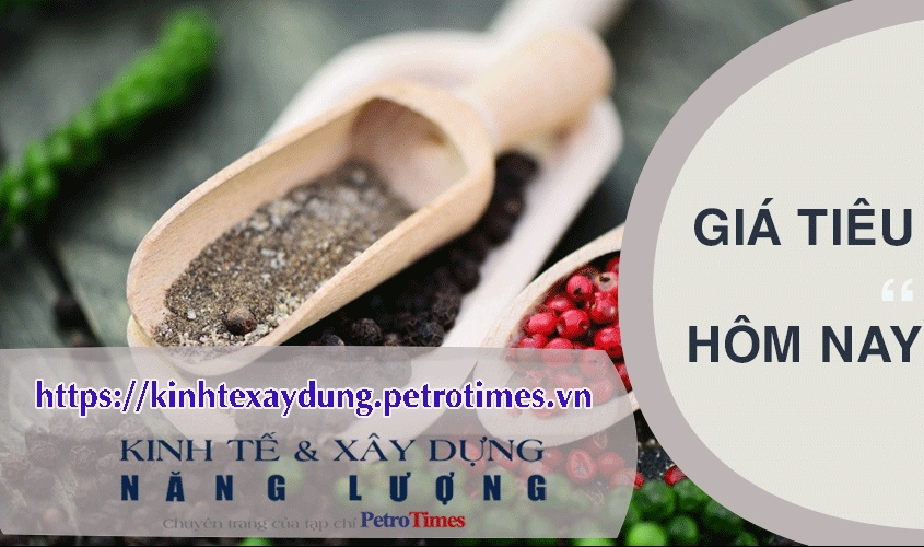 Giá tiêu hôm nay 20/3: Tăng rải rác