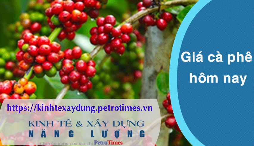 Giá cà phê hôm nay 21/3: Robusta chấm dứt đà tăng