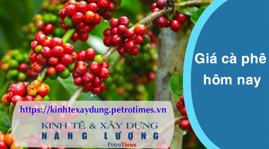 Giá cà phê hôm nay 21/3: Robusta chấm dứt đà tăng