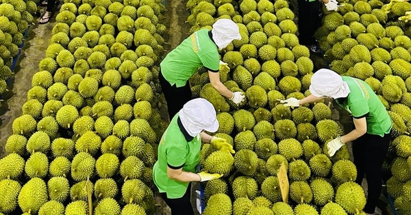 Tin tức kinh tế ngày 21/3: