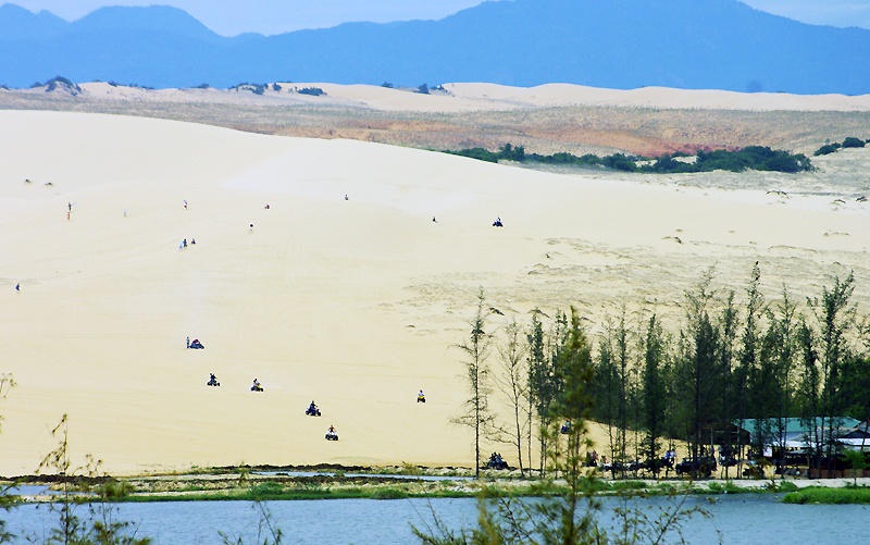 Top tiểu sa mạc tại Việt Nam