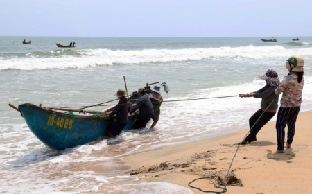Nghề cực nhọc, mang lại thu nhập khá cho ngư dân