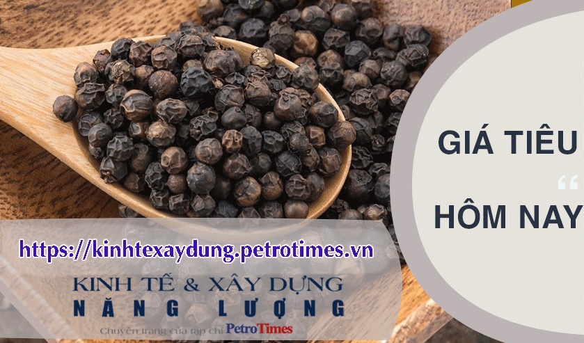 Giá tiêu hôm nay 26/3: Chững lại phiên thứ hai liên tiếp