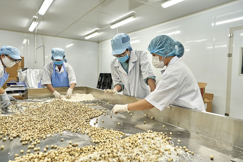 Nhiều cơ hội lớn cho nền kinh tế Việt Nam
