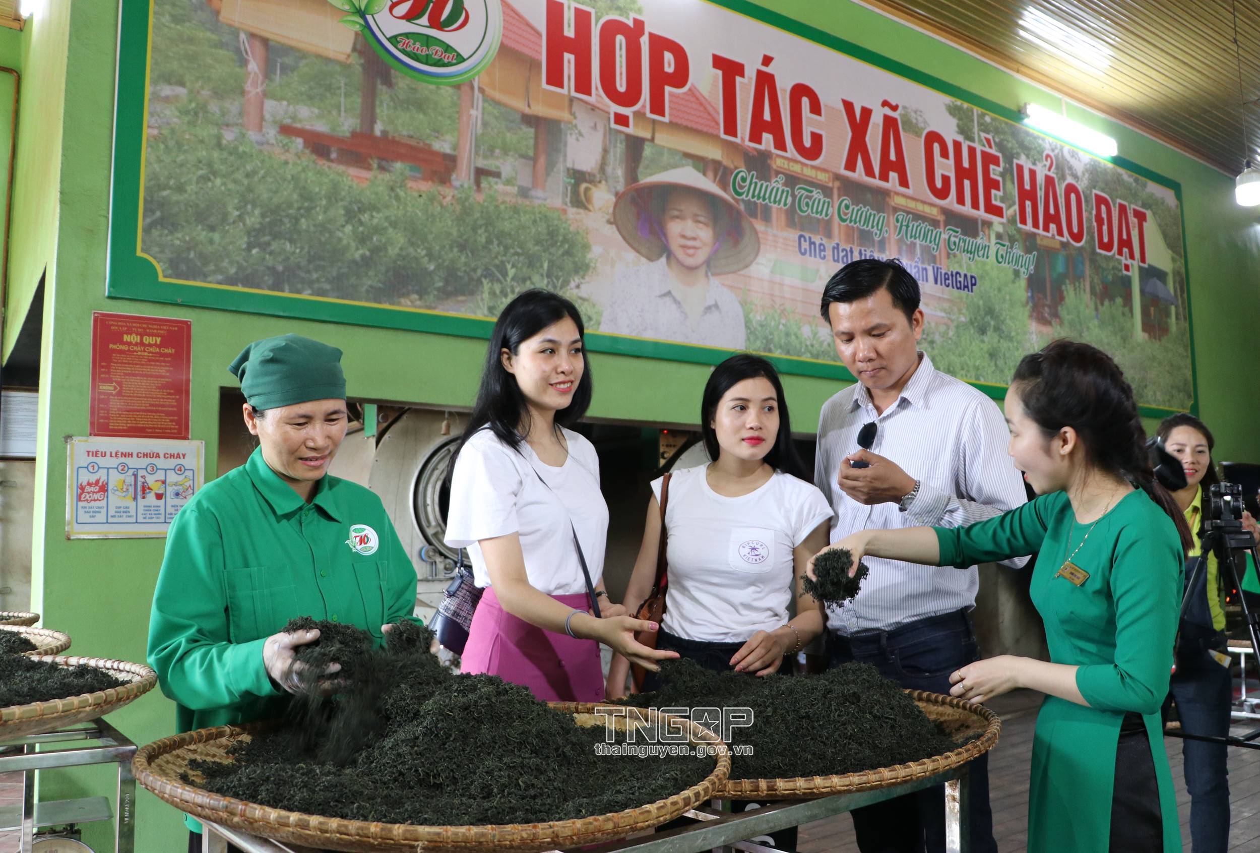 Thái Nguyên: Nhiều tiềm năng lợi thế phát triển du lịch