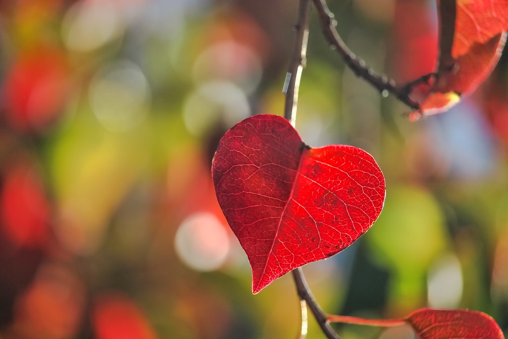 Tử vi ngày 28/3/2024: Tuổi Dậu đào hoa vượng sắc, tuổi Mùi dễ mất tập trung Tử vi ngày 28/3/2024: Tuổi Dậu đào hoa vượng sắc, tuổi Mùi dễ mất tập trung